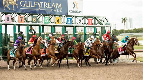 gulfstream race track picks|Horse Race Betting and Picks .